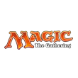 MTG FDN P BSTR case of 216 Packs